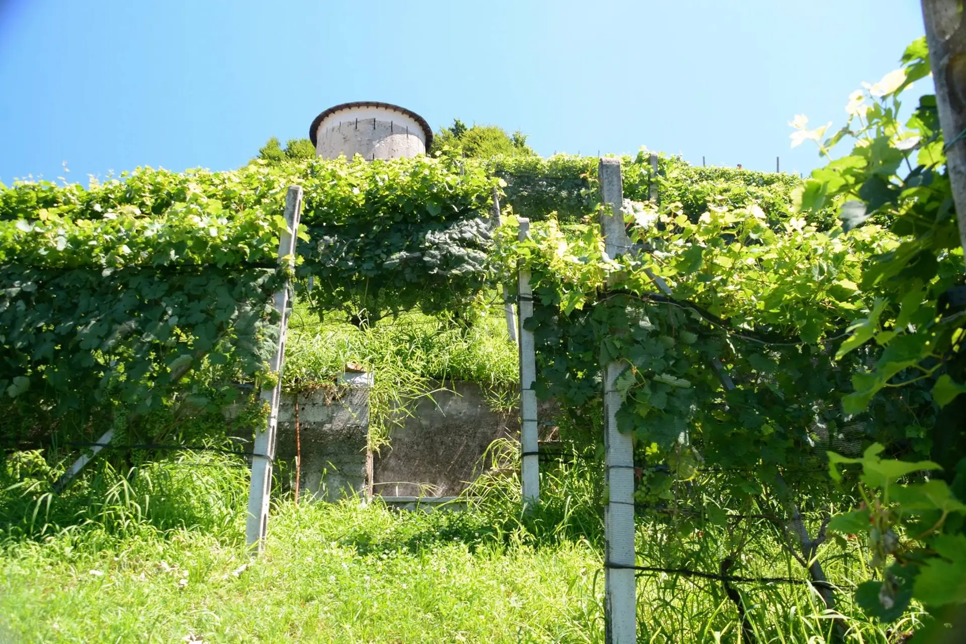 sottotorre